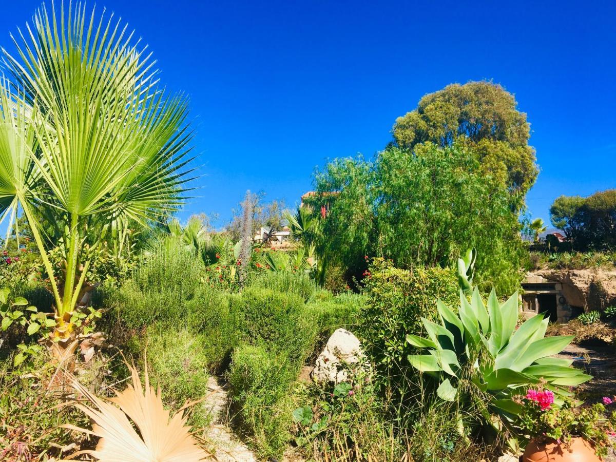 Tenerife Nature Retreat Ифонче Экстерьер фото