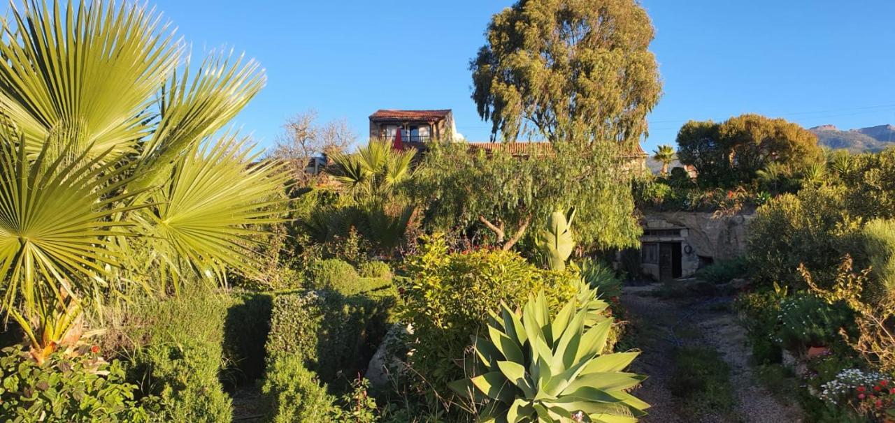 Tenerife Nature Retreat Ифонче Экстерьер фото