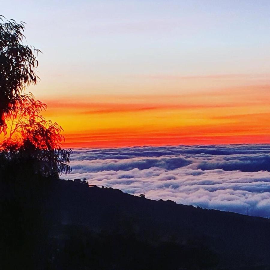 Tenerife Nature Retreat Ифонче Экстерьер фото