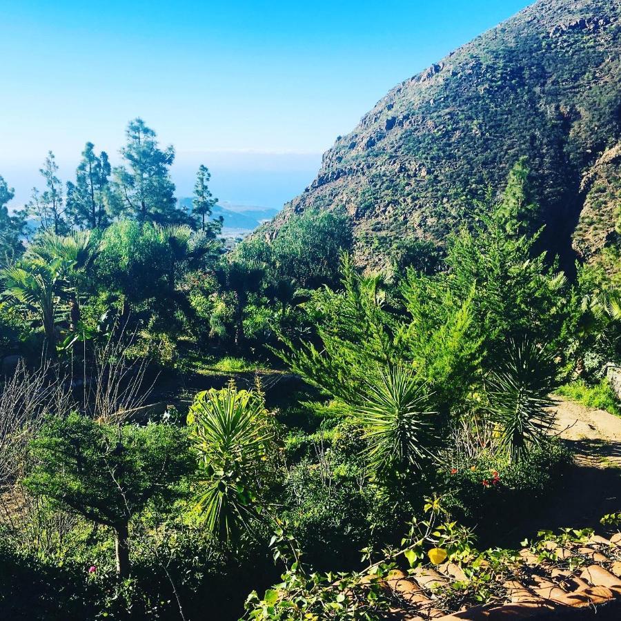 Tenerife Nature Retreat Ифонче Экстерьер фото
